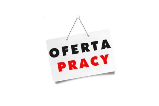 Ilustracja do informacji: PCPR w Nowej Soli poszukuje osoby na stanowisko: PEDAGOG